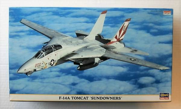 F-14A Tomcat 'Sundowners'