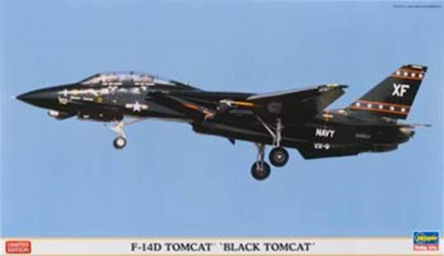 F-14D Tomcat 'Black Tomcat'