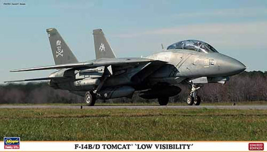 F-14B/D Tomcat Low Visibilty