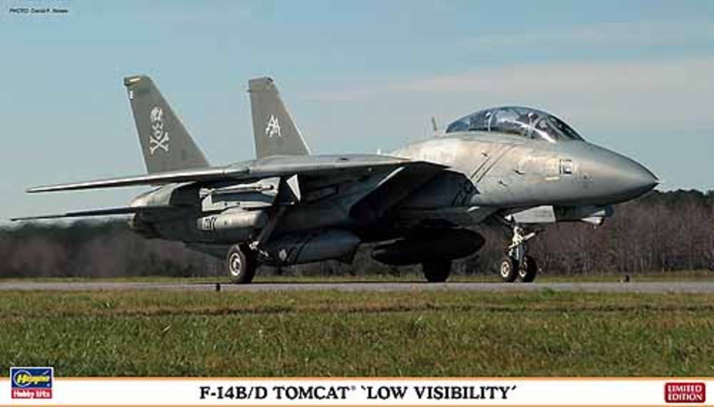 F-14B/D Tomcat Low Visibilty