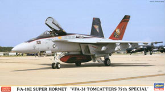 F/A-18E Super Hornet 'VFA-31 Tomcatters 75th'