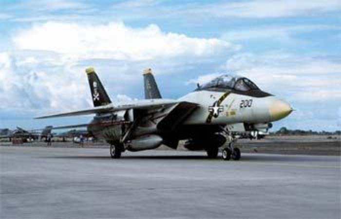 F-14A Tomcat 'VF-84 Jolly Rogers' ~ Ltd Ed