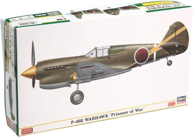 P-40E Warhawk Prisoner Of War