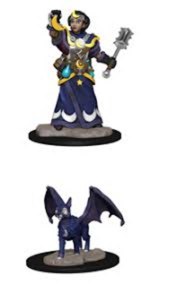 Wardlings: Girl Cleric With Winged Cat