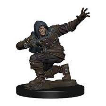 Pathfinder Premium Figures: Human Male Rogue