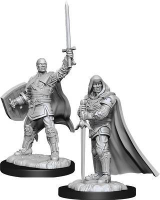 D&D Unpainted Minis: Human Paladin