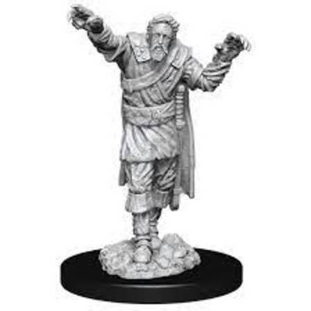 D&D Unpainted Minis: Scarecrow & Stone Cursed