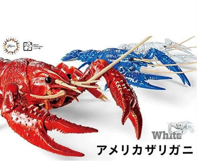 Fujimi Biology Louisiana Crawfish (White) P. Clarkii