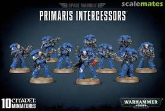 Space Marines: Primaris Intercessors (9th Ed)