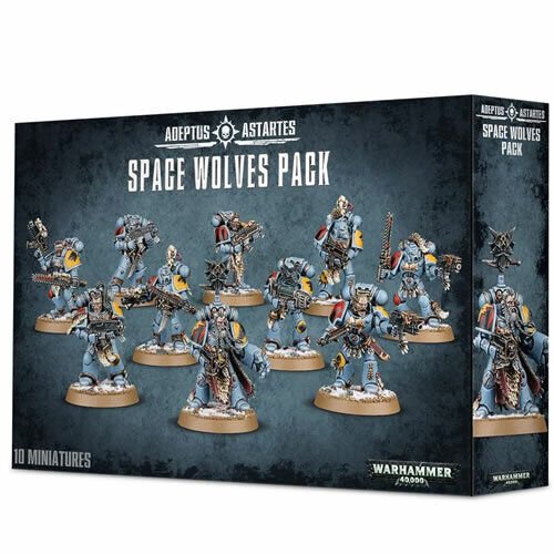 Space Wolf Grey Hunters (9th Ed)