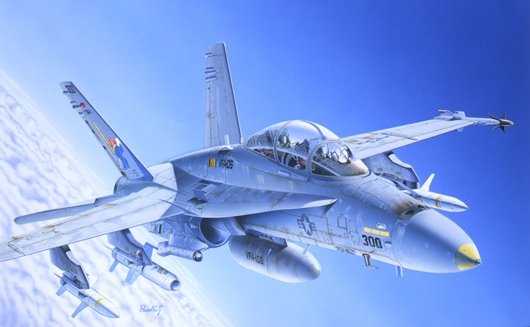 F/A-18 Hornet