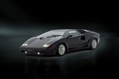 Lamborghini Countach 25th Anniversary