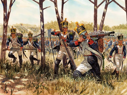 French Napoleonic Infantry