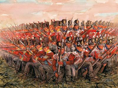 Napoleon War British Infantry