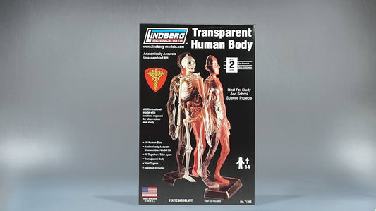 Transparent Human Body