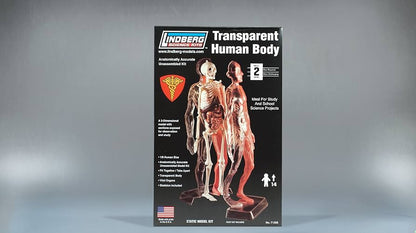 Transparent Human Body