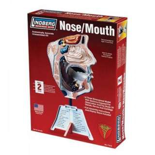 Human Nose/Mouth