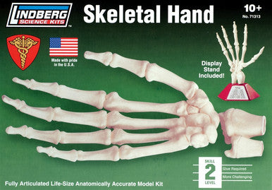 Skeletal Hand