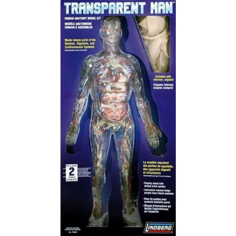 Transparent Man