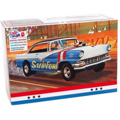 1958 Ford Hardtop StripFowl