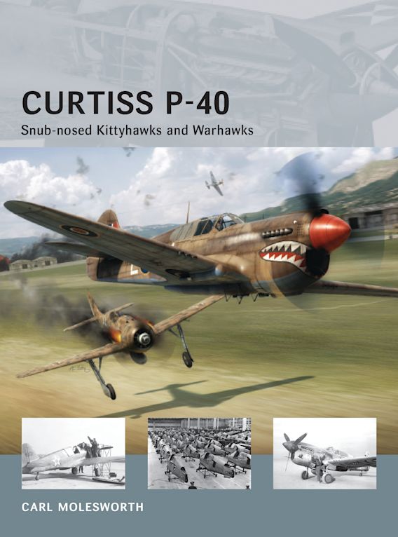 Curtiss P-40, Snub-nosed Kittyhawks and Warhawks