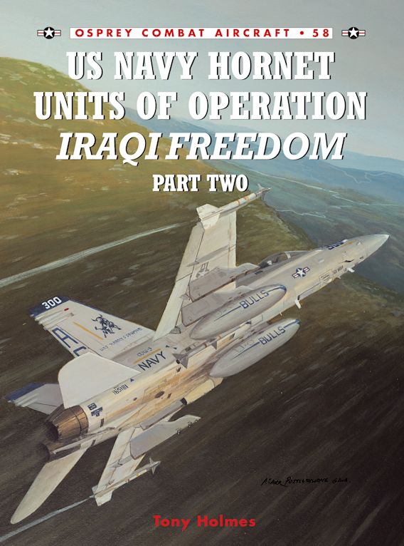 US Navy Hornets of Iraqi Freedom Part Two