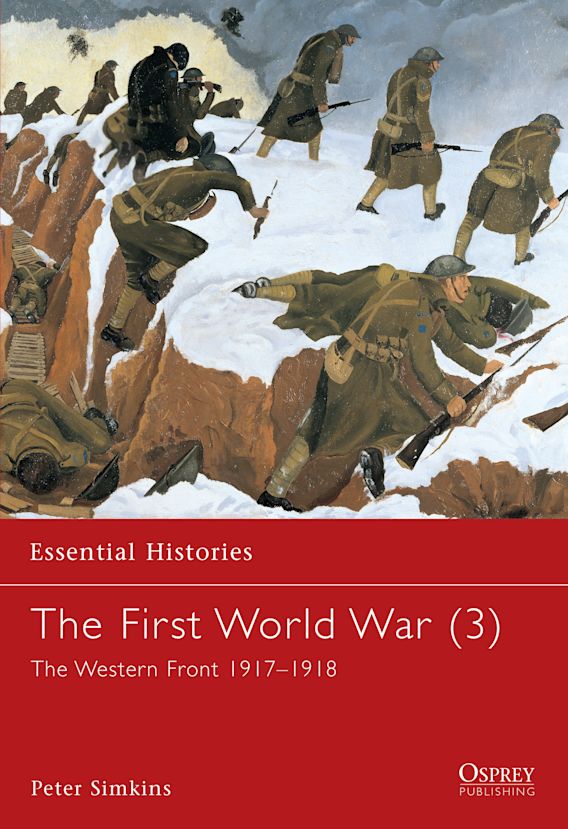 THE FIRST WORLD WAR (3)