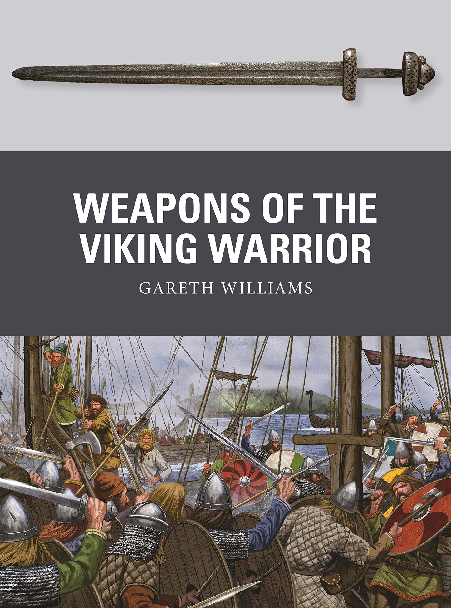 Weapons of the Viking Warrior