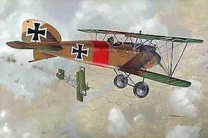 Albatross D.III