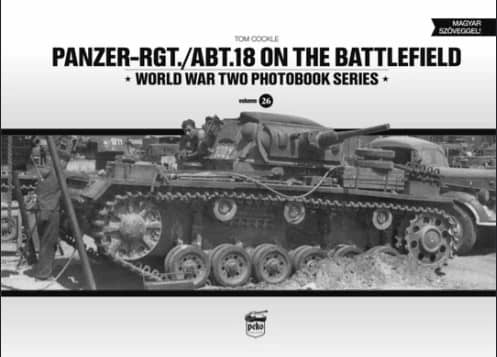 Panzer-RGT./ABT.18 on the Battlefield