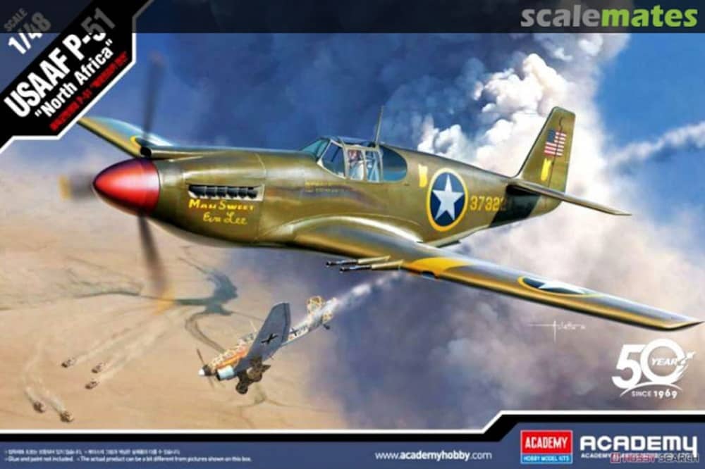 USAAF P-51 "North Africa"