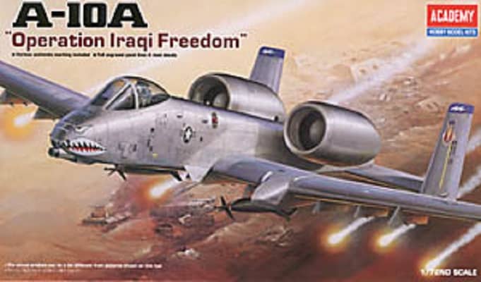A-10A Warthog 'Operation Iraqi Freedom'