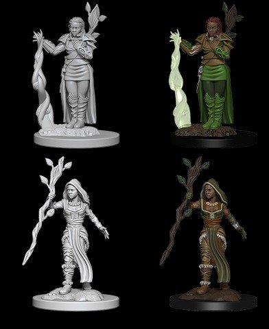 D&D Unpainted Minis: Female Druid