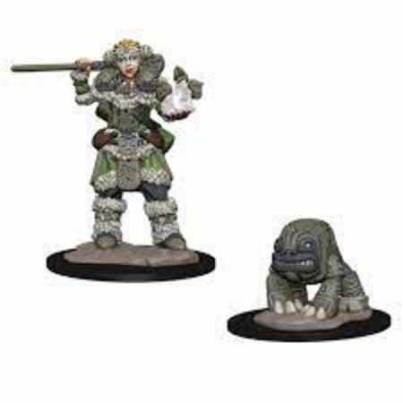 Wardlings: Girl Druid And Stone Creature