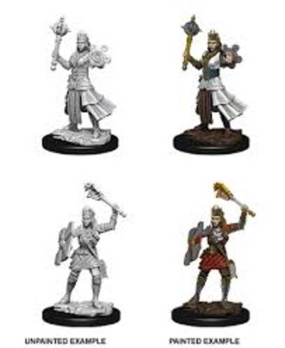 D&D Unpainted Minis: Human Female Cleric