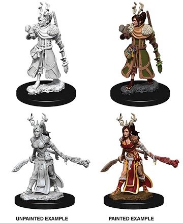 D&D Unpainted Minis: Female Human Druid