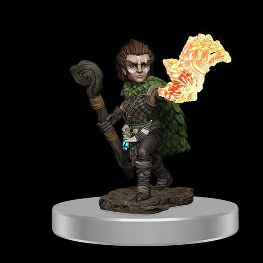 Pathfinder Battles: Male Gnome Druid