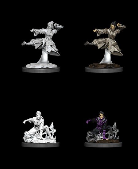 D&D Unpainted Minis: Female Human Monk