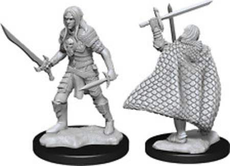 Pathfinder Unpainted Minis: Male Elf Fighter