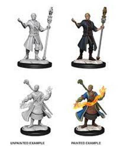 D&D Unpainted Minis: Half Elf Wizard