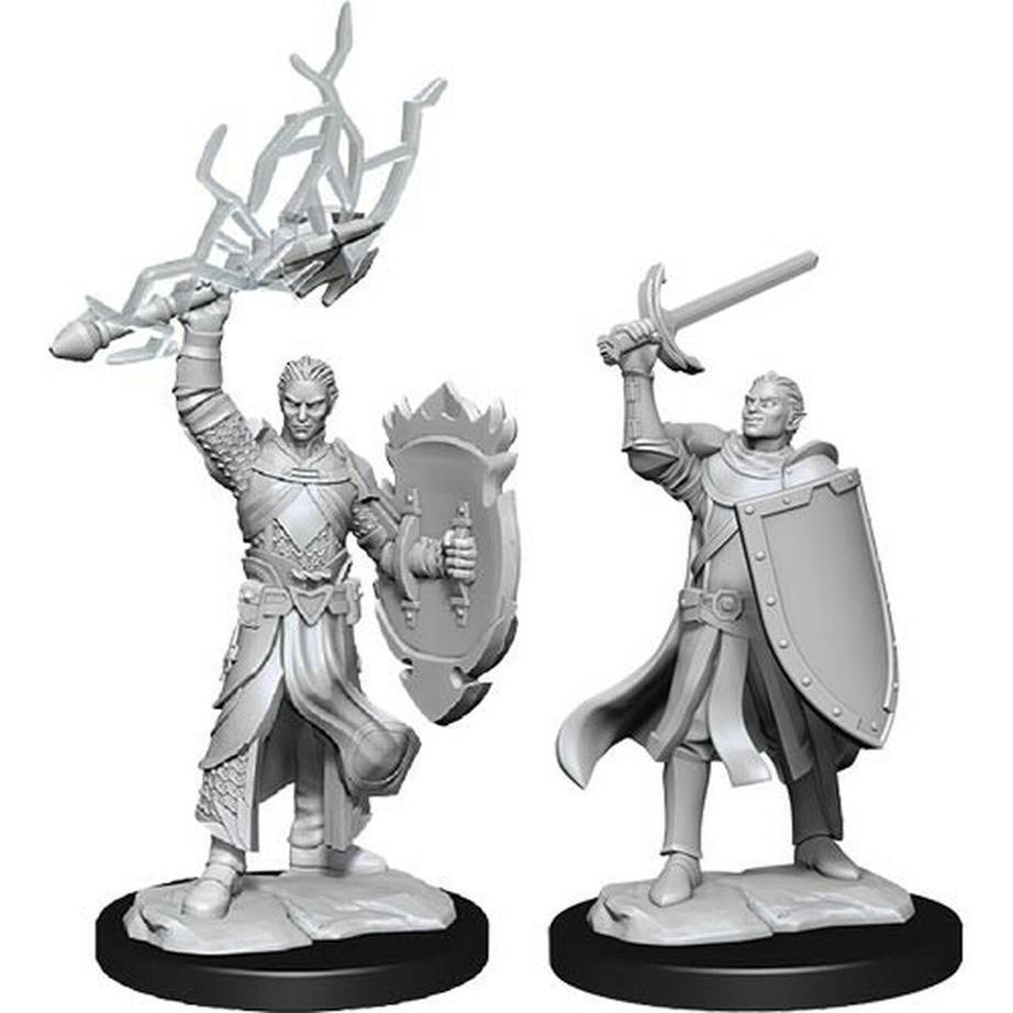 D&D Unpainted Minis: Half-Elf Paladin