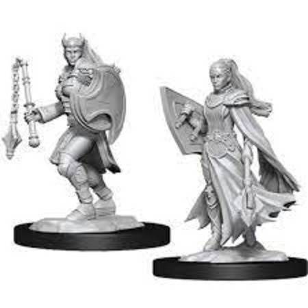 D&D Unpainted Minis: Kalashtar Cleric