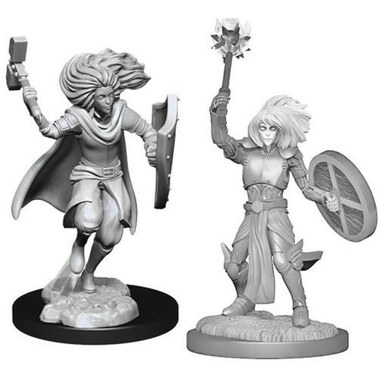 D&D Unpainted Minis: Changeling Cleric