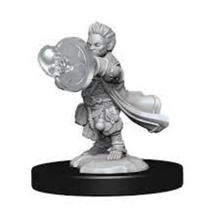 Pathfinder Unpainted Minis: Male Halfing Wizard