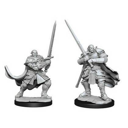 D&D Unpainted Minis: Half-Orc Paladin Male