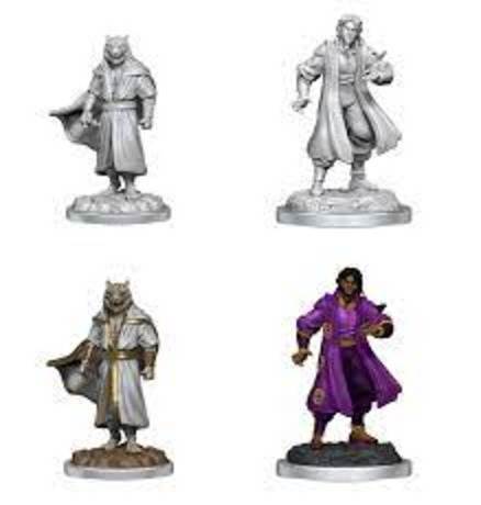 CR Minis: Guests of Critical Role - Male Sorcerer/Tiger