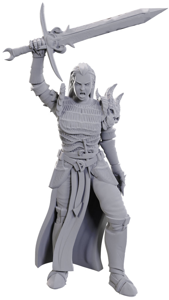 D&D Unpainted Minis: Blackguard