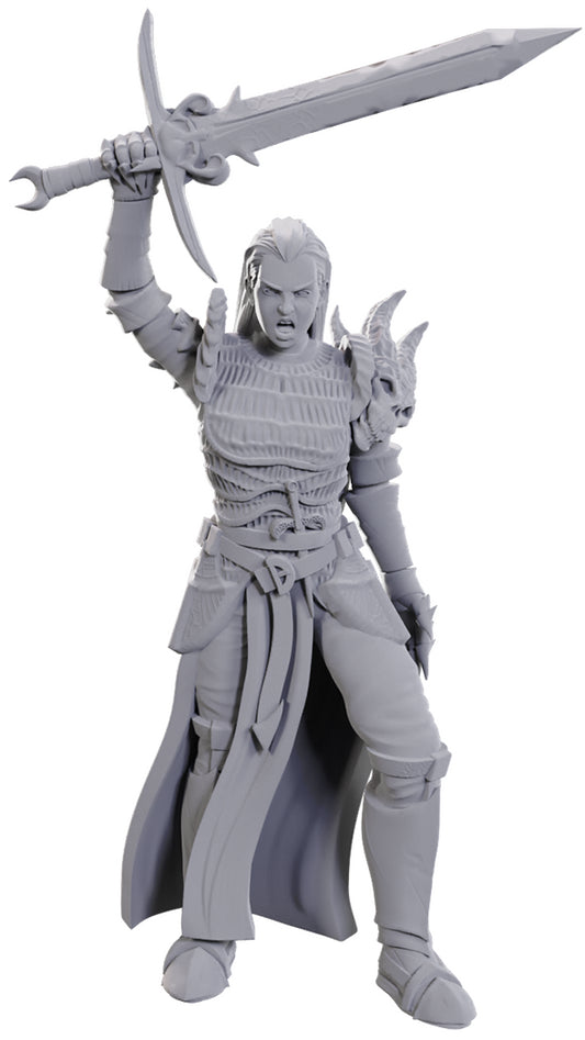 D&D Unpainted Minis: Blackguard