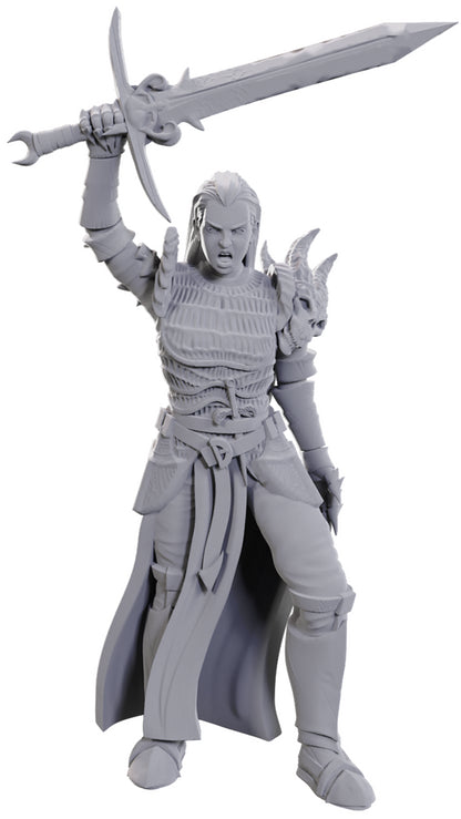 D&D Unpainted Minis: Blackguard