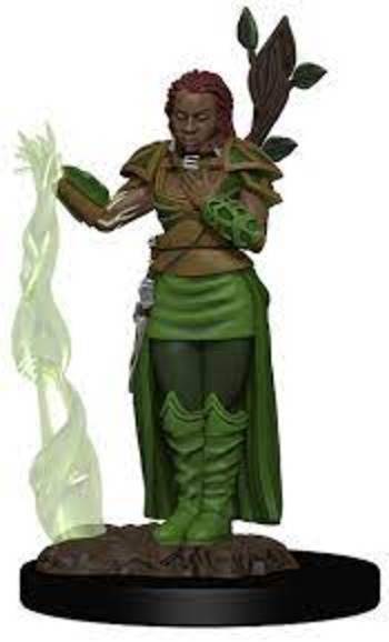 D&D Premium Painted Minis: Female Human Druid